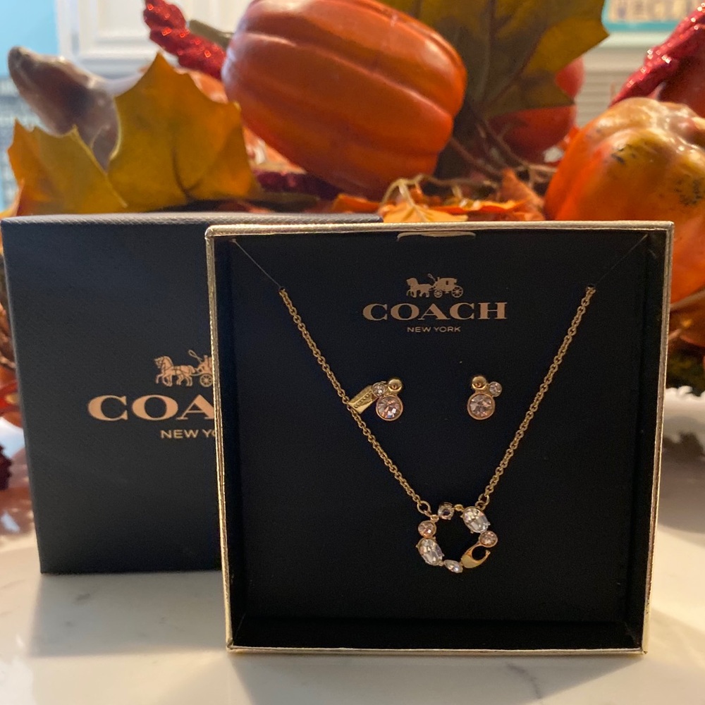 Coach necklace and earrings